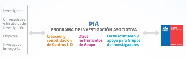 Programa de Investigación Asociativa